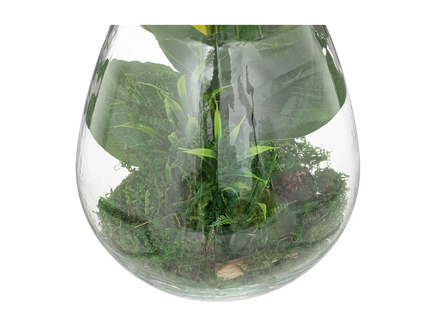 Terrarium en Verre "Bota" 29cm Transparent & Vert