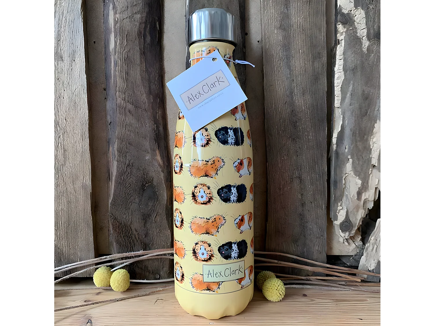 Bouteille isotherme en inox Cochons d'Inde par Alex Clark