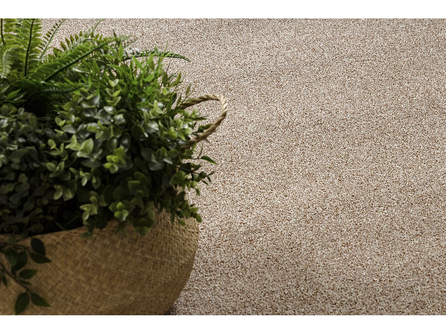 TAPIJT - Vloerbekleding MOORLAND TWIST beige  100x150 cm