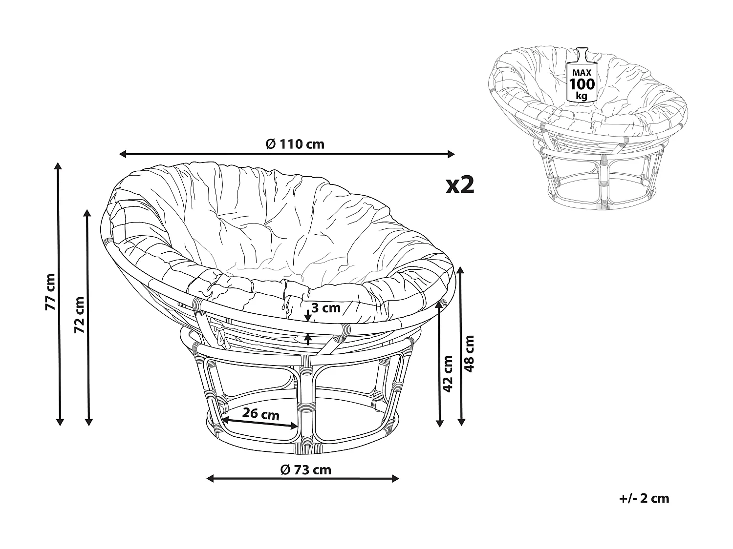 Lot de 2 fauteuils de jardin avec coussins SALVO Rotin Naturel