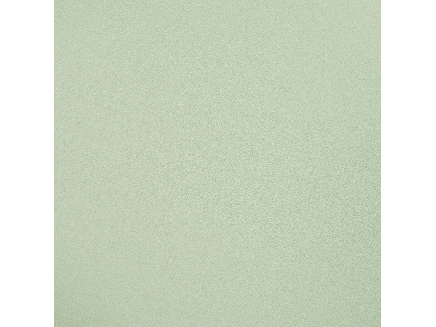 Lot de 4 chaises de salle à manger MORILL Vert clair
