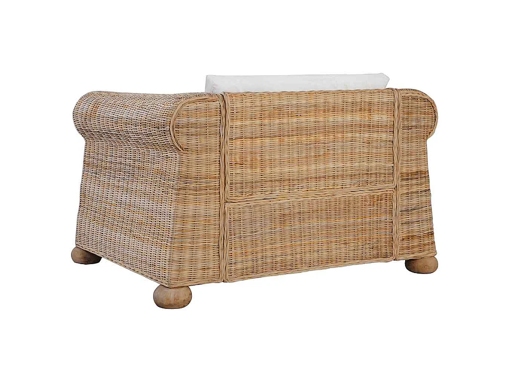 Fauteuil met kussens natuurlijk rattan