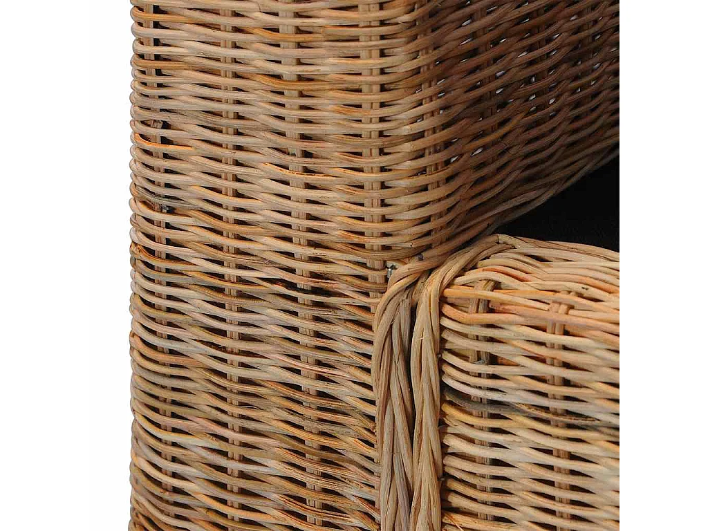 Fauteuil met kussens natuurlijk rattan