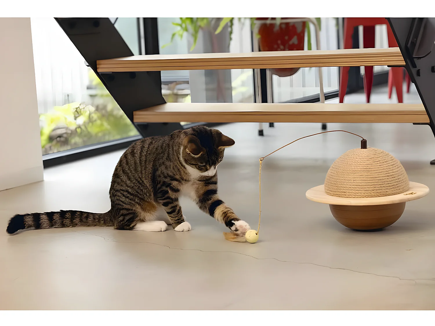Globe à gratter pour chat Wiggly 29,5x20 cm Bois