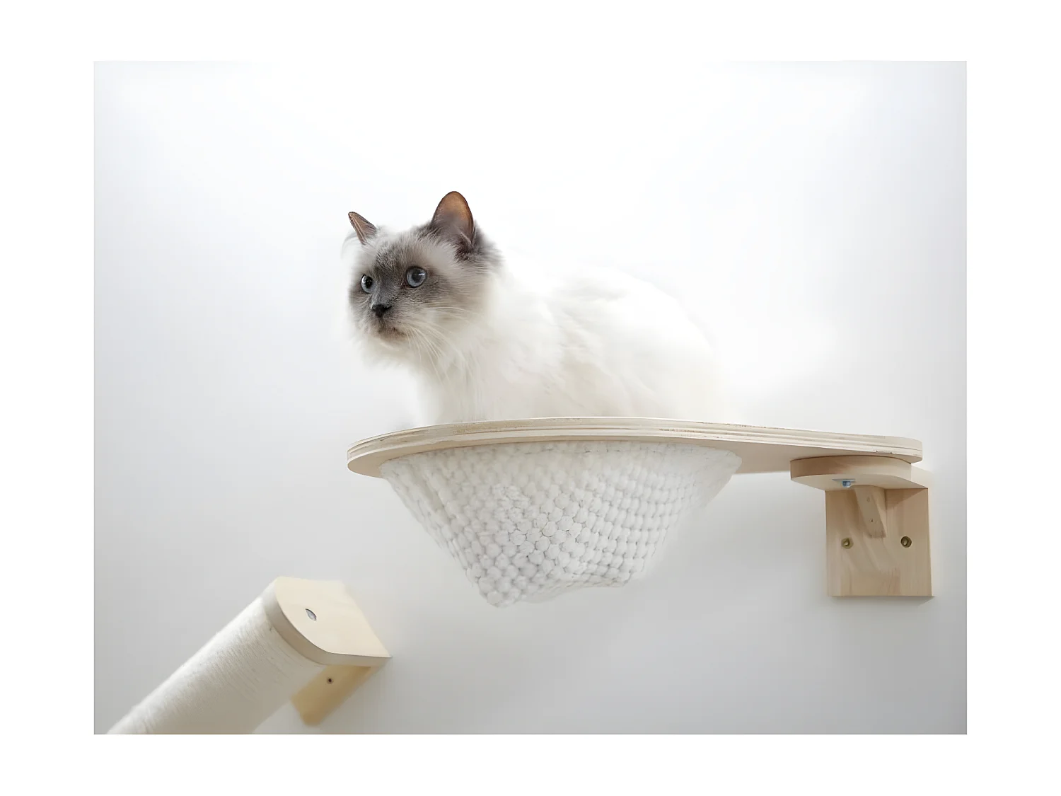 Mur d'escalade pour chats Andes 52x40x32 cm Naturel et blanc