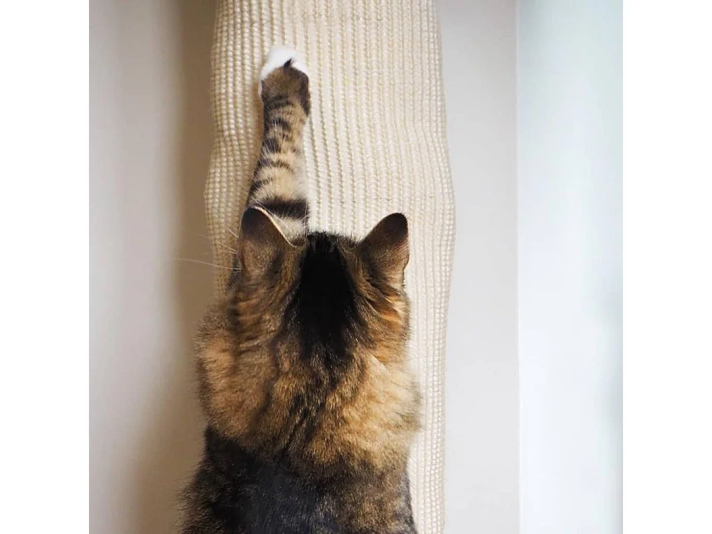 Saco de escalada para gatos sisal 180 cm