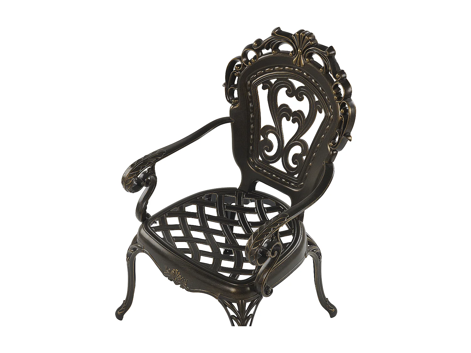 Lot de 2 chaises de jardin avec coussins SAPRI Métal Marron foncé