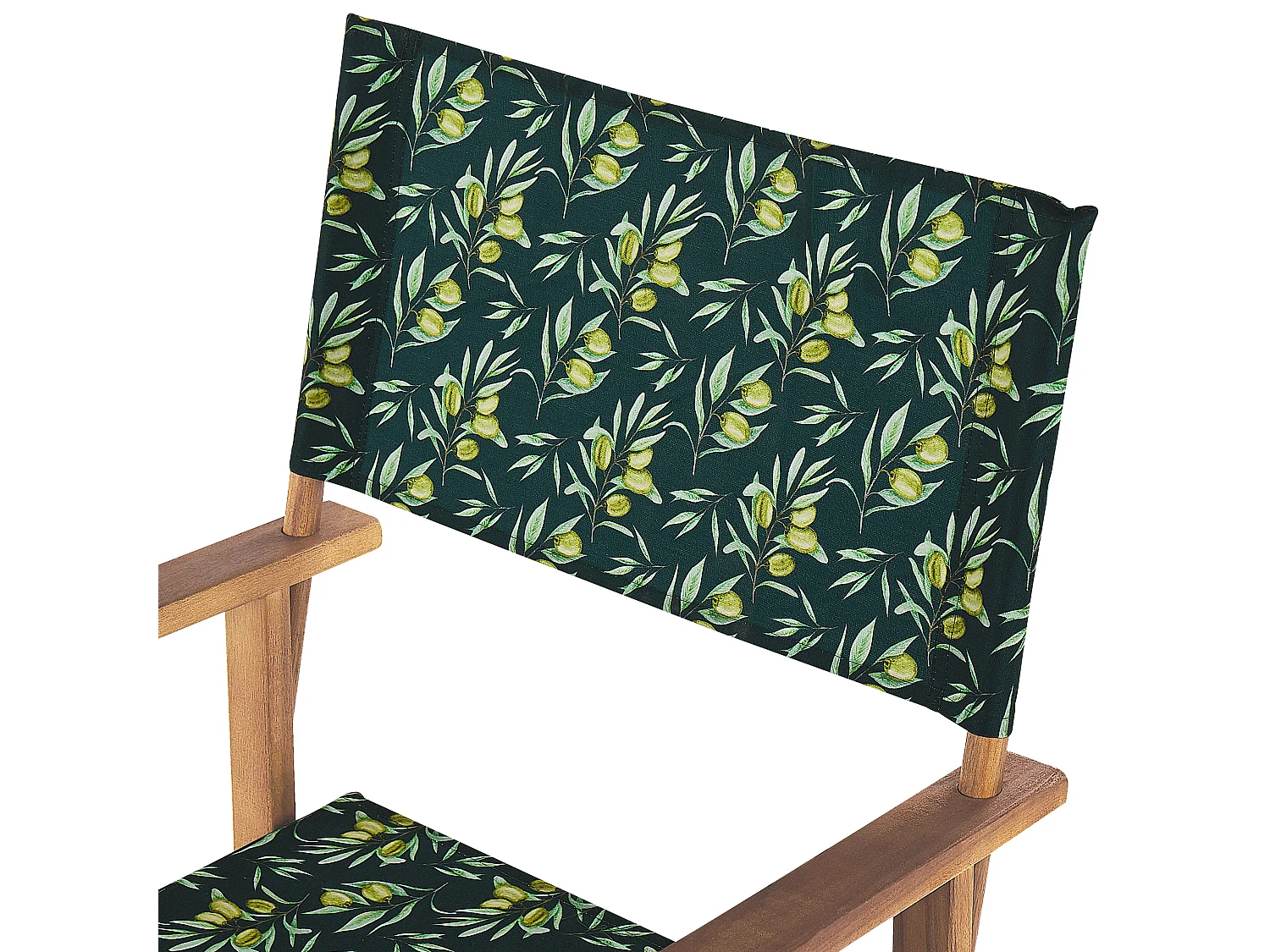 Set van 2 tuinstoelen CINE Hout Donkergroen