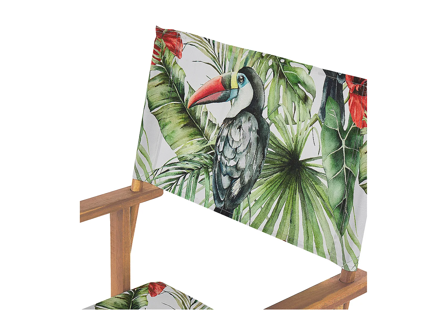 Zwei Gartenstühle helles Akazienholz Textil grau / bunt Tukanmotiv Cine