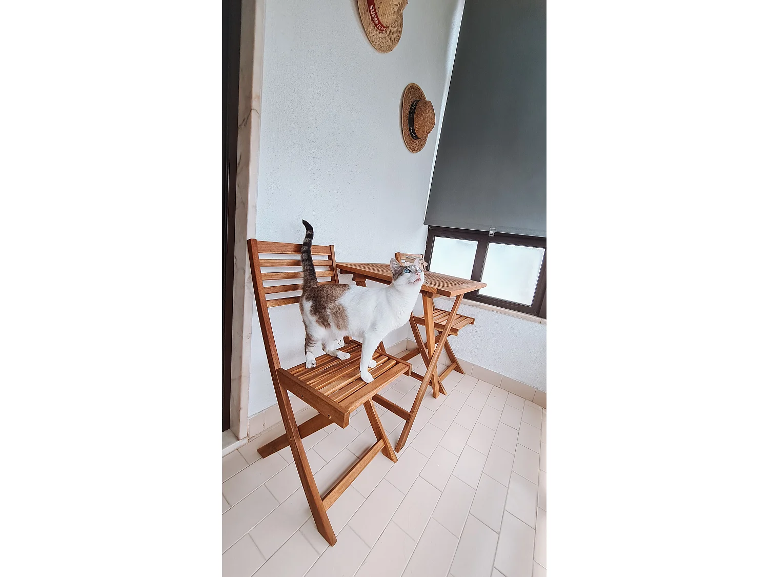 Ensemble pour bistro avec coussins FIJI Bois Jaune