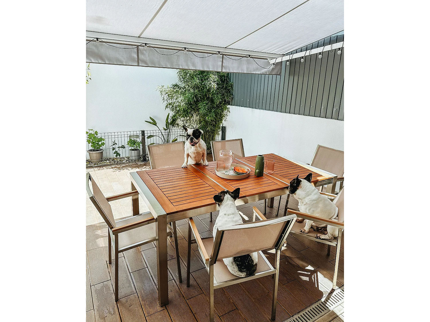 Set da pranzo da giardino 6 posti GROSSETO Legno d'eucalipto Marrone/ Beige