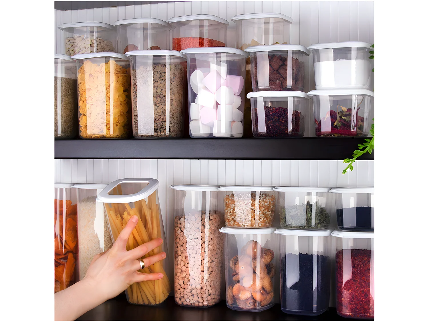 Boîte de conservation en plastique blanc Box 24 pièces