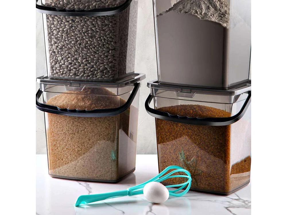 Boîte de conservation en plastique avec anse Storage (Lot de 4)