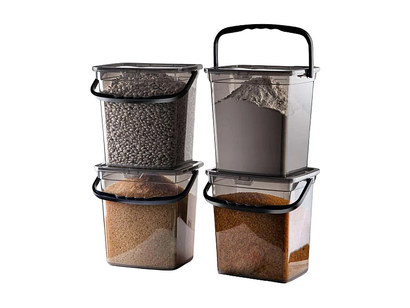 Boîte de conservation en plastique avec anse Storage (Lot de 4)