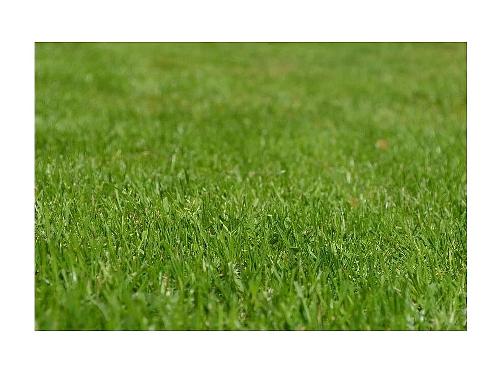 Terreau bio actif 40 litres Lot de 5