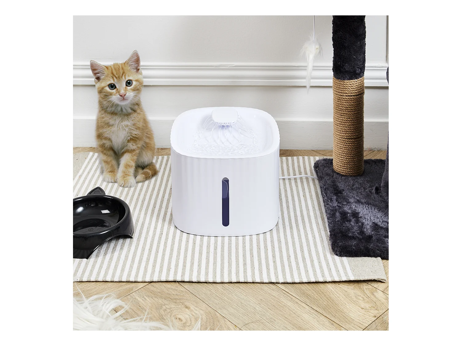 Fontaine A Eau Pour Chat Blanc