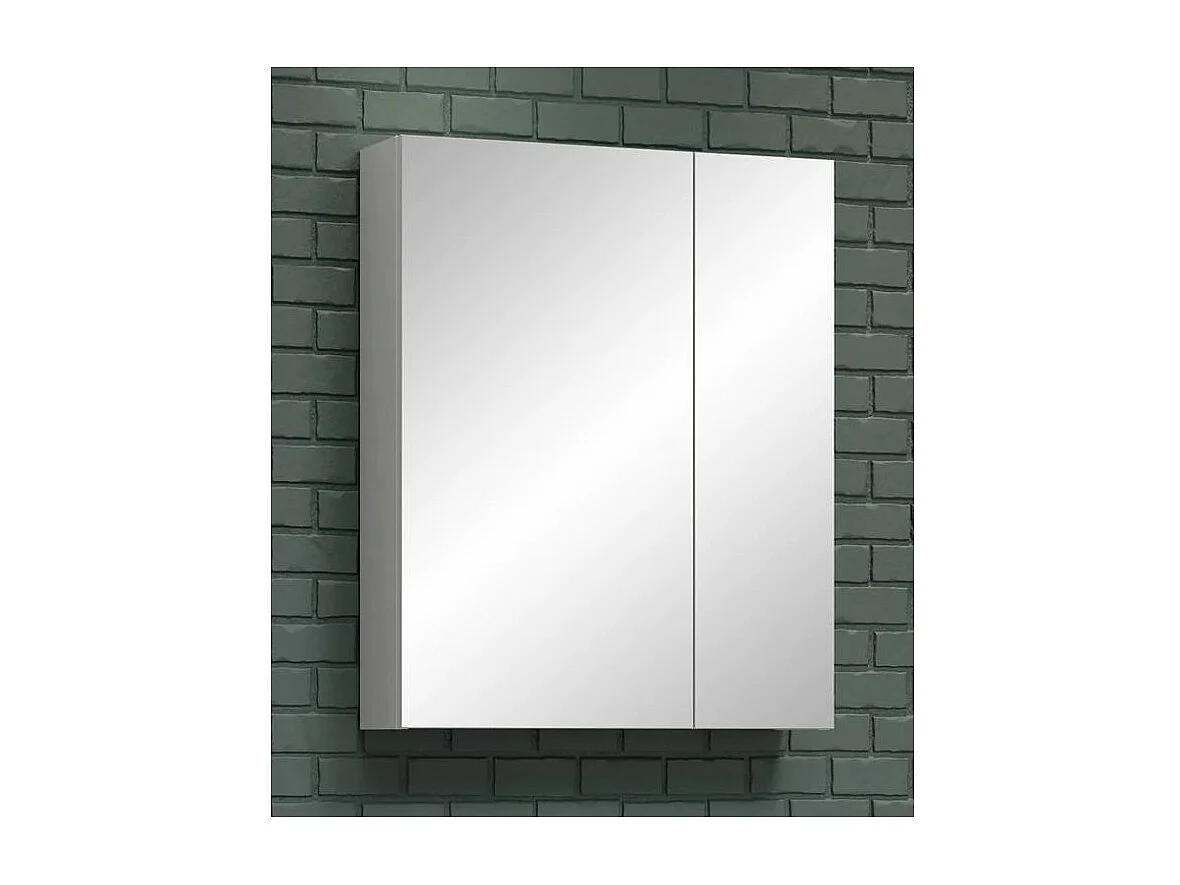 Spiegelwandkast 2 deuren 3 planken Randy 60 cm