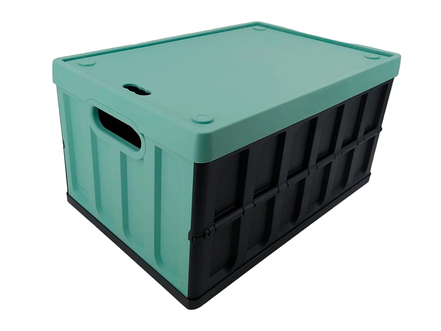 Coffre polyvalent Tontarelli 46L vert et noir