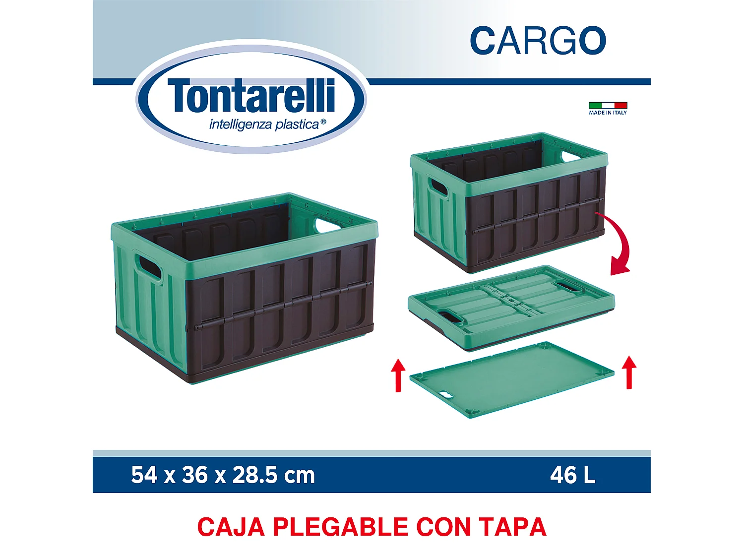 Coffre polyvalent Tontarelli 46L vert et noir