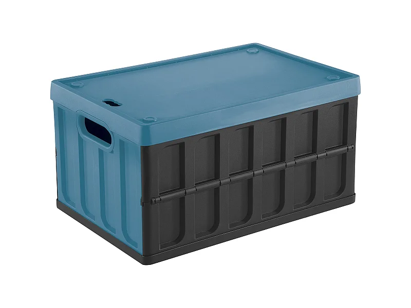 Coffre polyvalent Tontarelli 46L bleu et noir