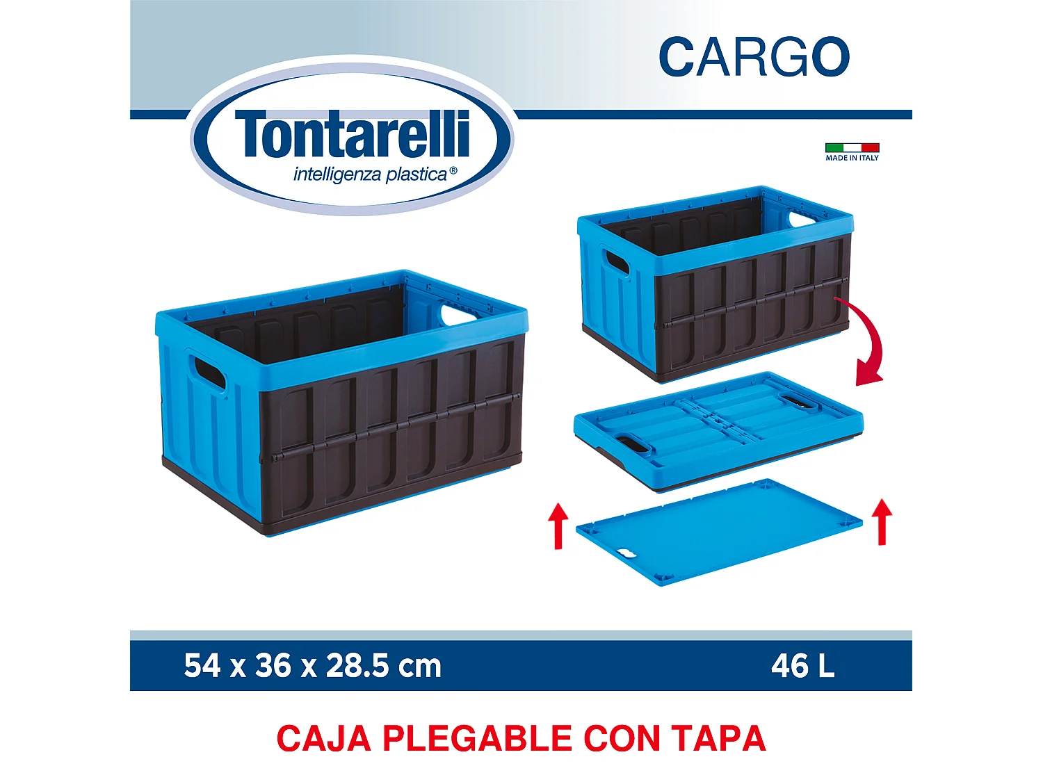 Coffre polyvalent Tontarelli 46L bleu et noir