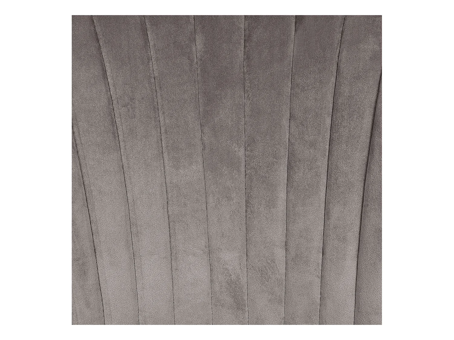 Lot de 2 chaises de salle à manger AUGUSTA Velours Gris