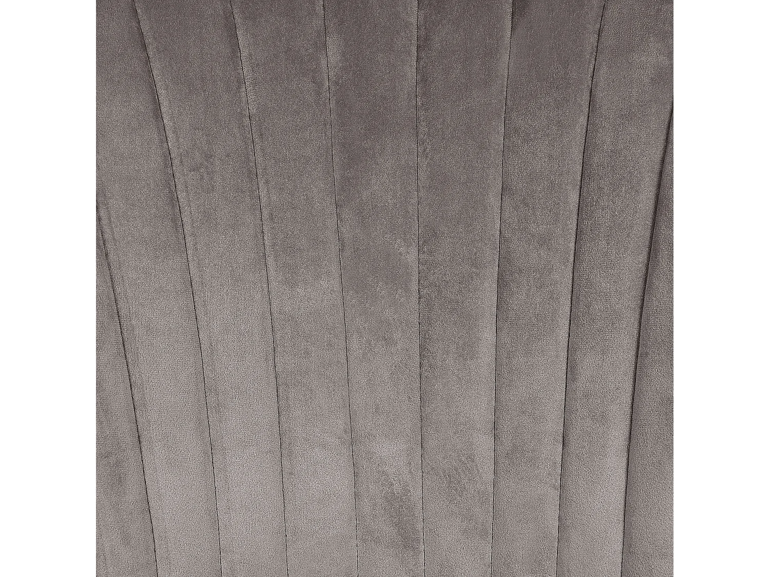 Lot de 2 chaises de salle à manger AUGUSTA Velours Gris