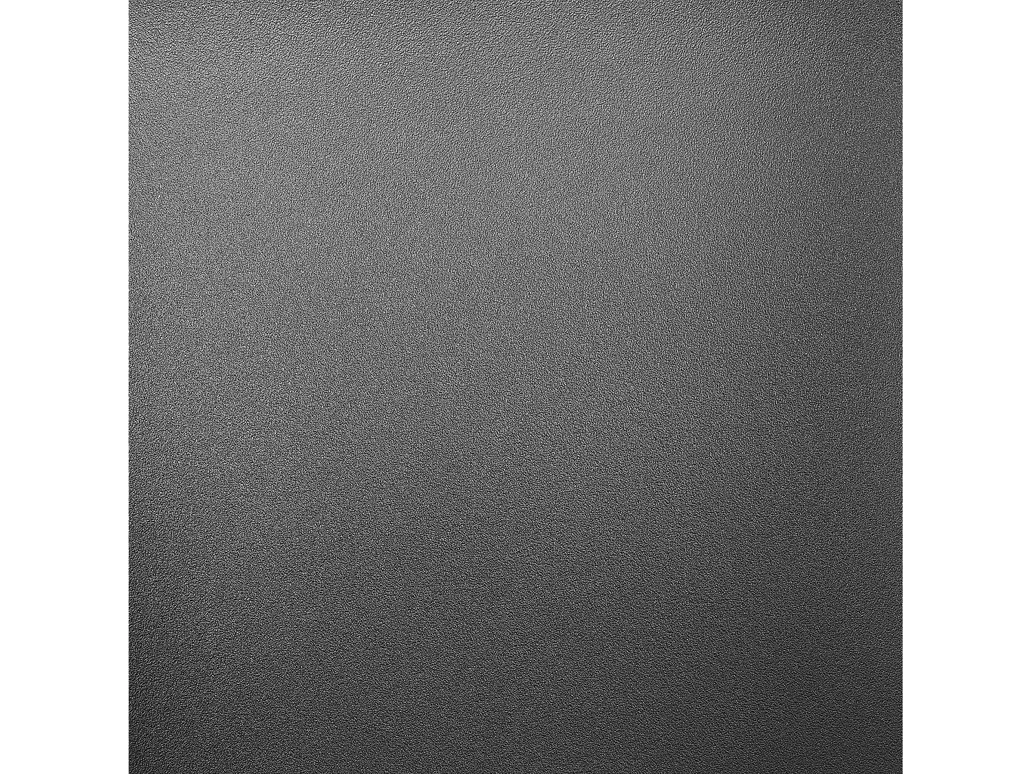 Lot de 2 chaises de salle à manger BLAYKEE Noir