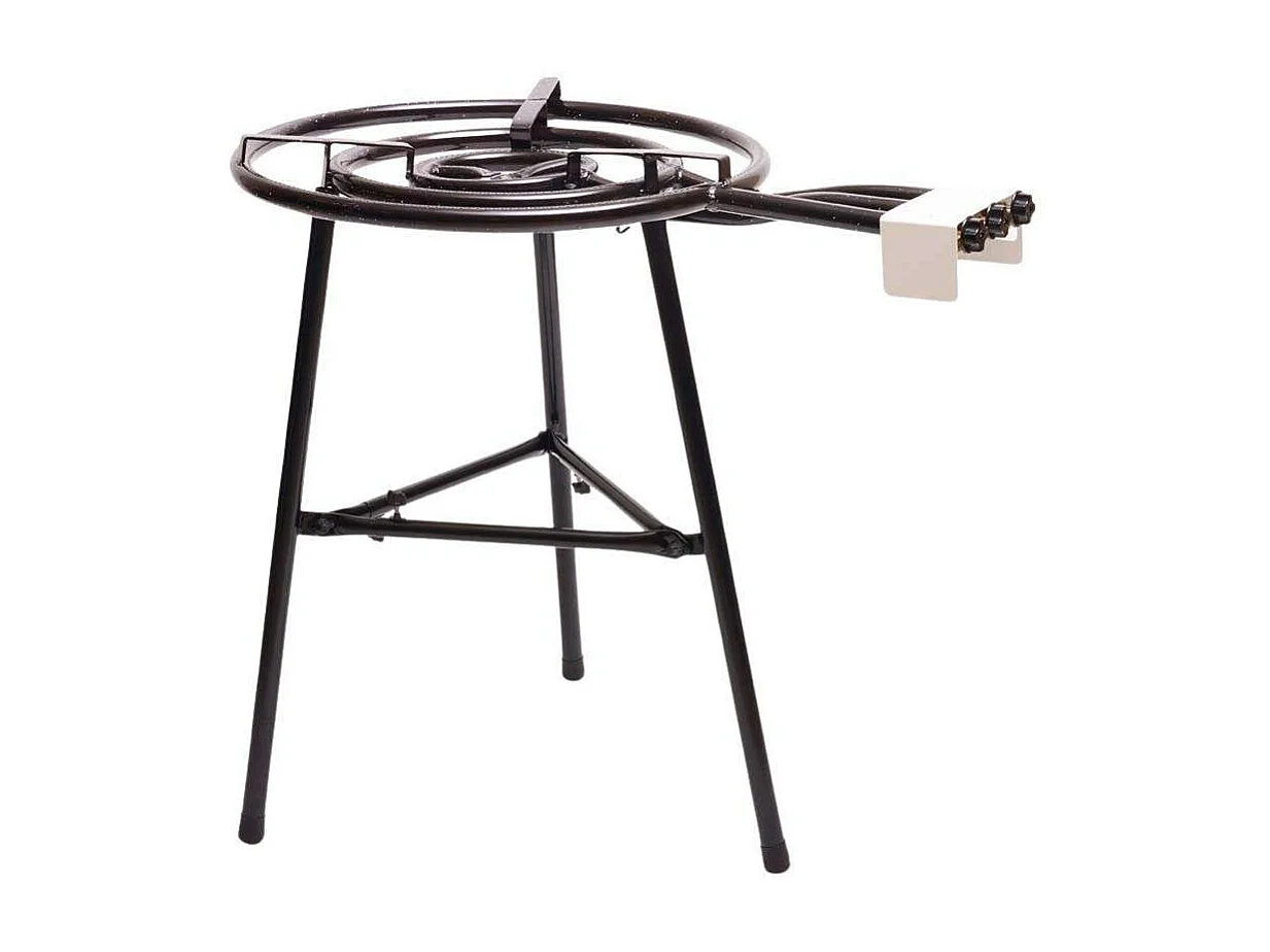 Barbecue au gaz Grill