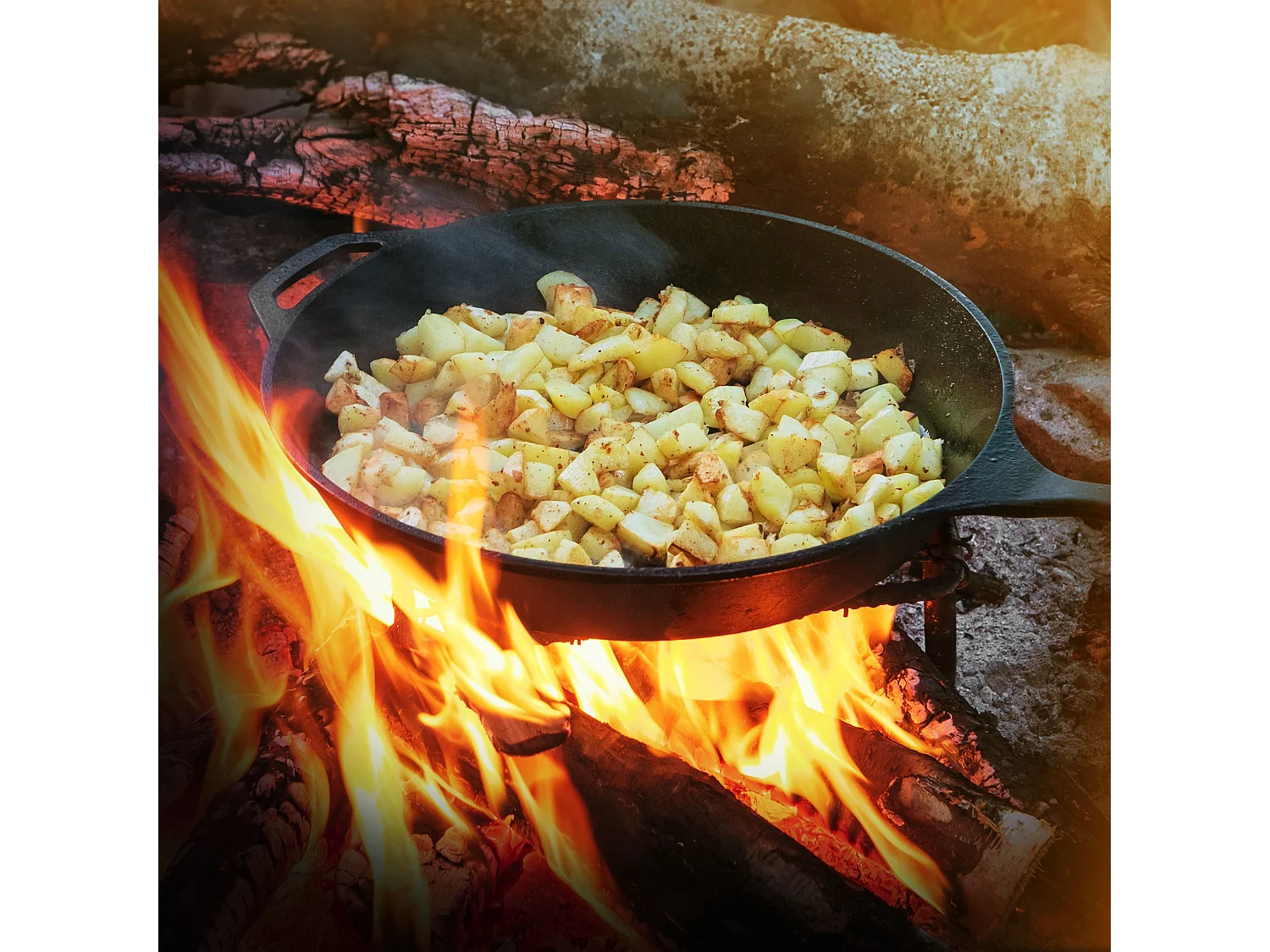 Sartén de hierro fundido con doble asa y mango. Pico vertedor para camping y exteriores Ø31 cm Negro