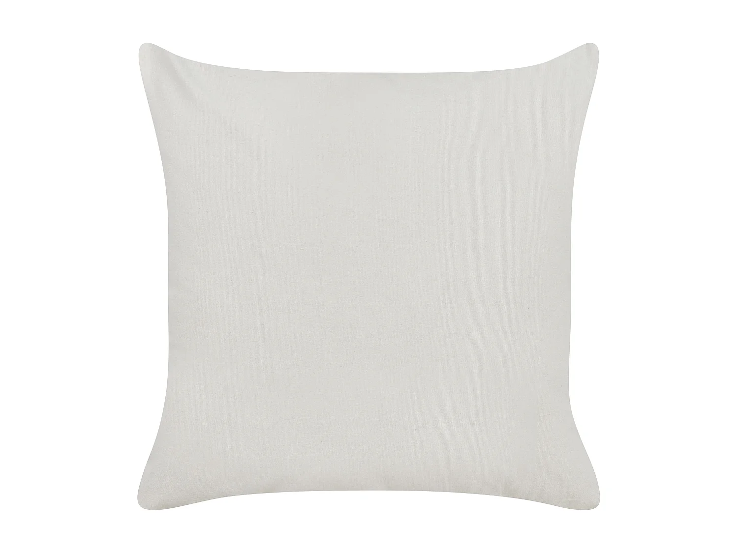 Lot de 2 coussins décoratifs TRACHELIUM 45 x 45 cm Vert Motif de plante