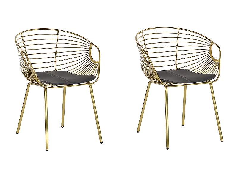 Lot de 2 chaises de salle à manger HOBACK Métal Doré