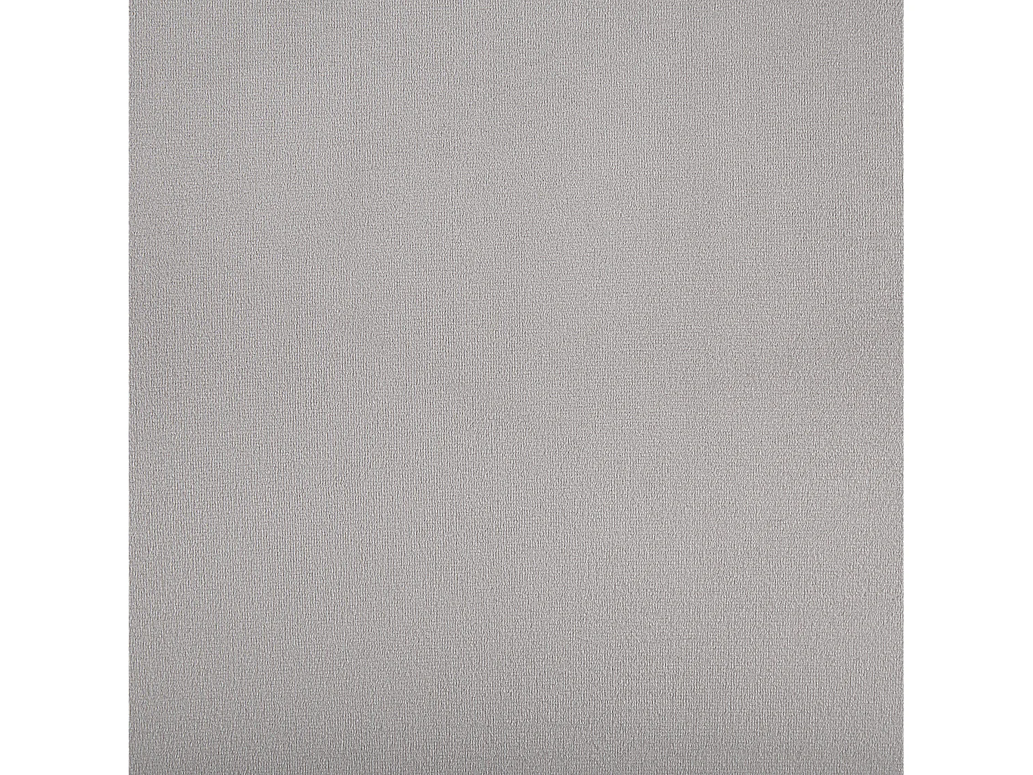 Lot de 2 chaises de salle à manger RUBIO Velours Gris