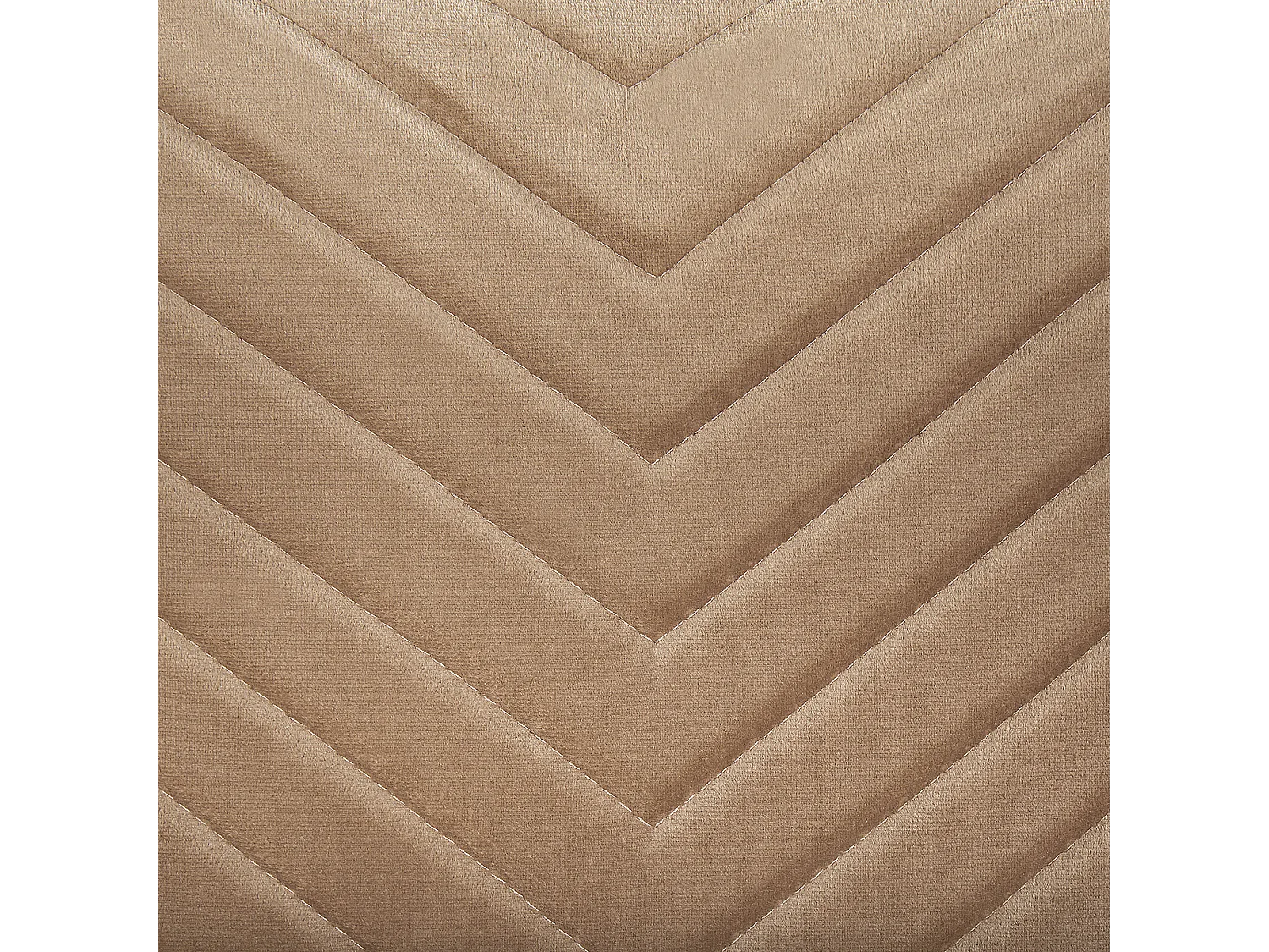 Lot de 2 chaises de salle à manger ALTOONA Velours Beige