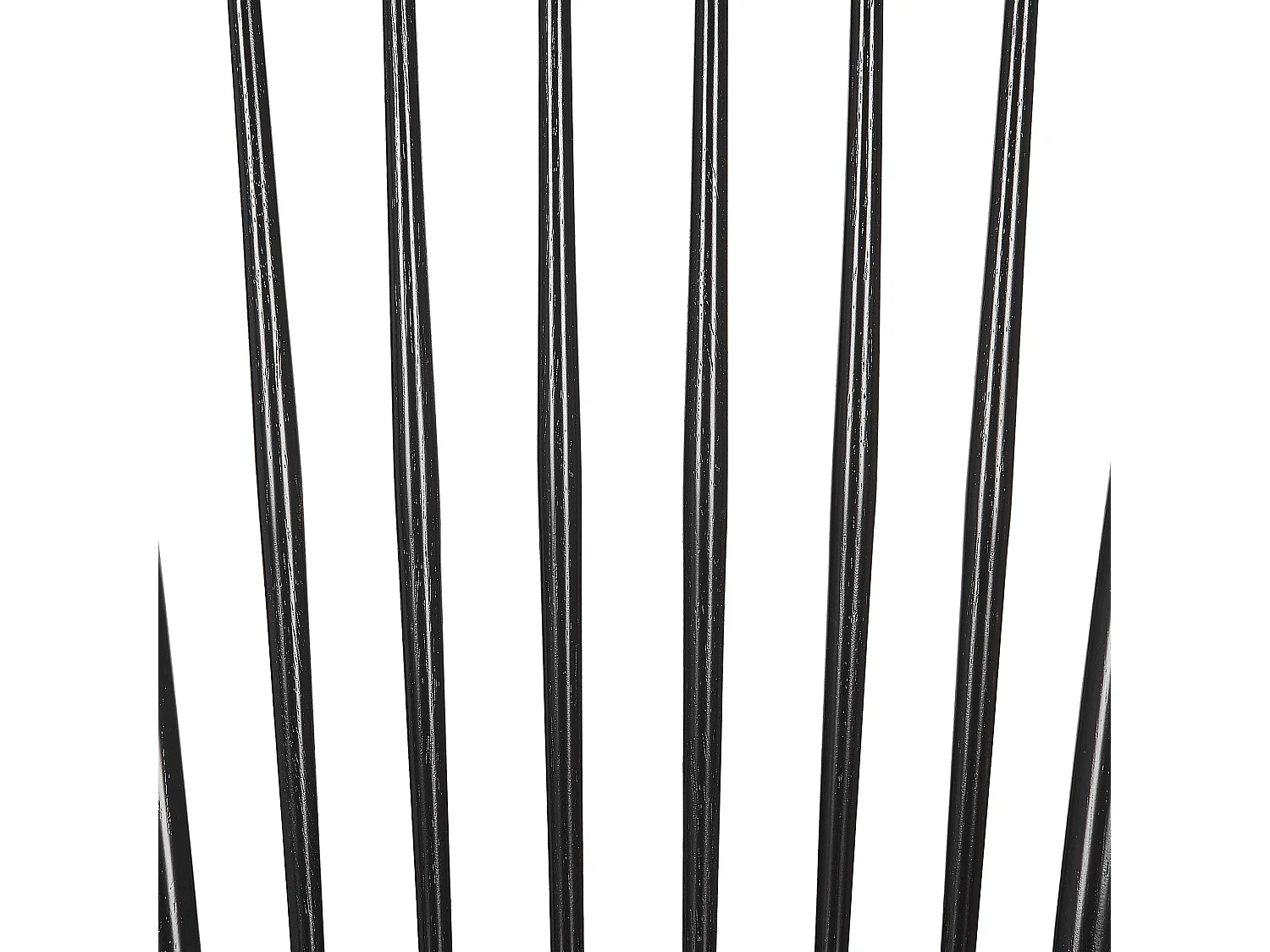 Lot de 2 chaises de salle à manger BURGES Bois Noir