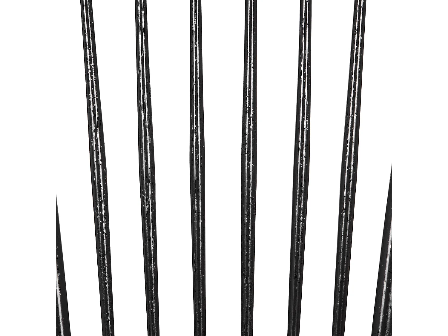 Lot de 2 chaises de salle à manger BURGES Bois Noir