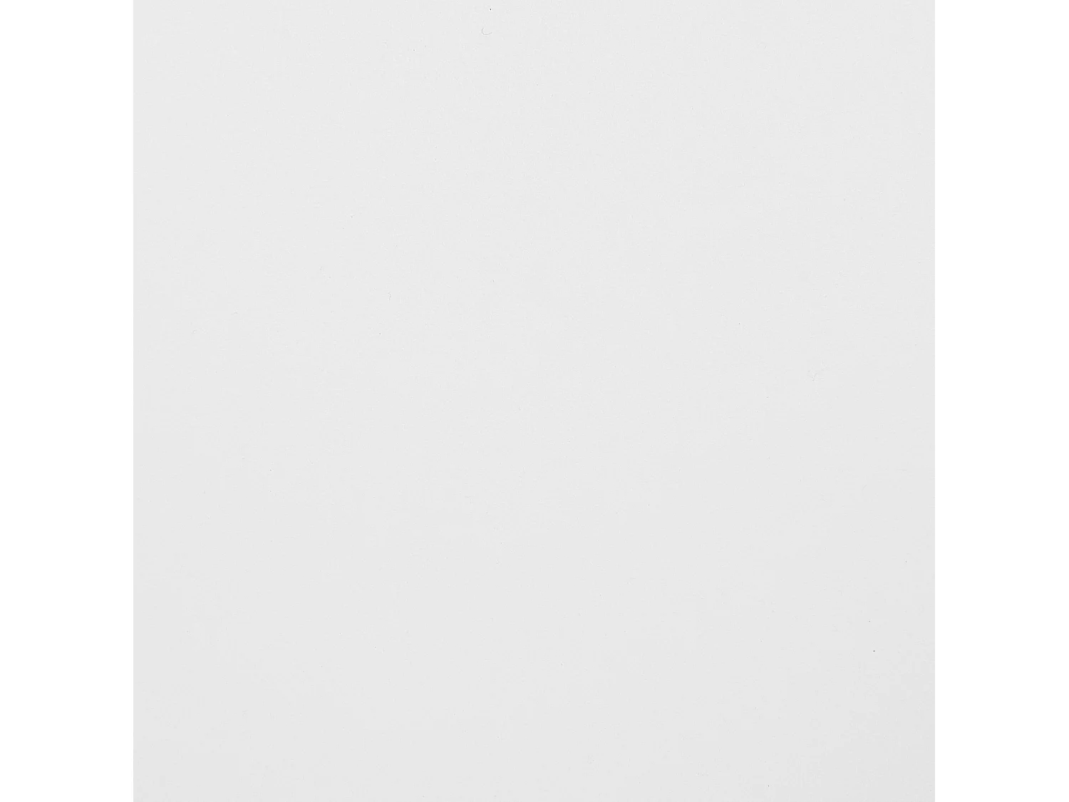 Lot de 2 chaises de salle à manger BLAYKEE Blanc