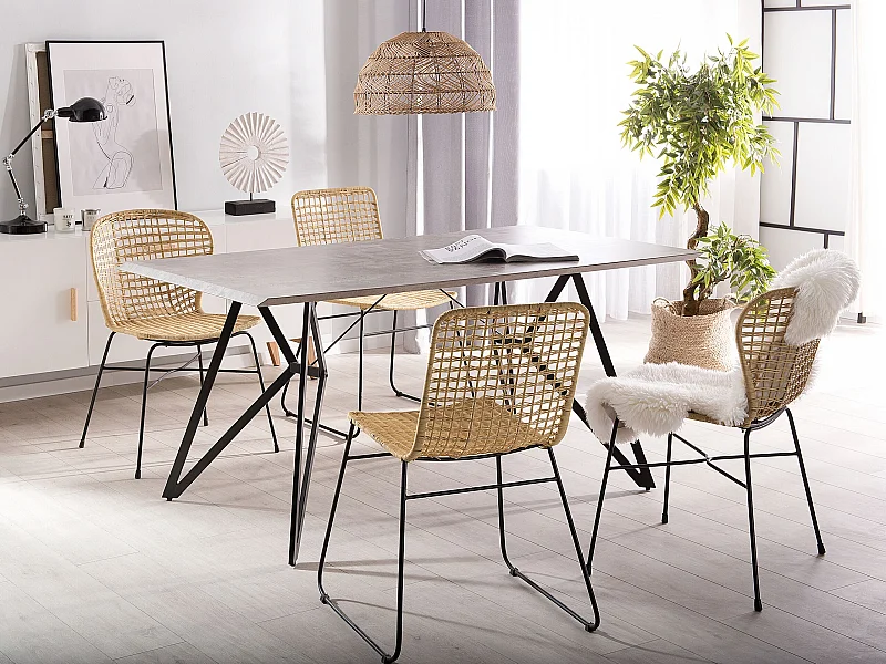 Lot de 2 chaises de salle à manger ELFROS Rotin Naturel