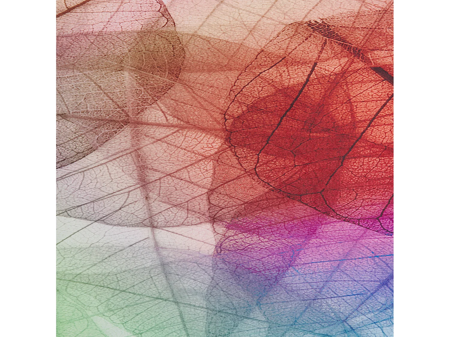 Tapis ANTAKYA Multicolore 80 x 150 cm