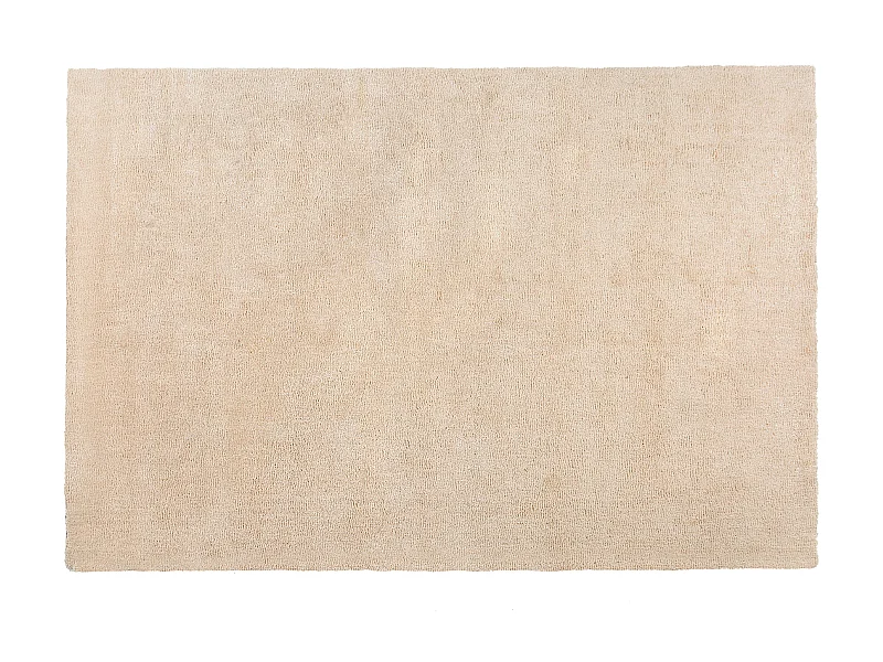 Teppich rechteckig 200 x 300 cm beige getuftet Shaggy Hochflor Modern Demre