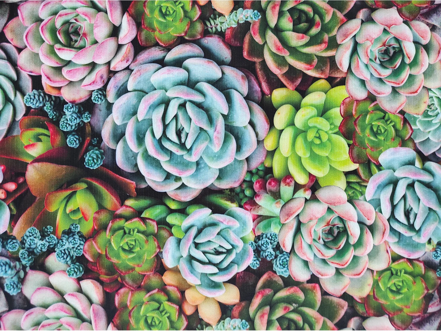 Tapis Couloir| Composition Textile Résinée| Base Antidérapante| Fleur Lotus| 55X200CM