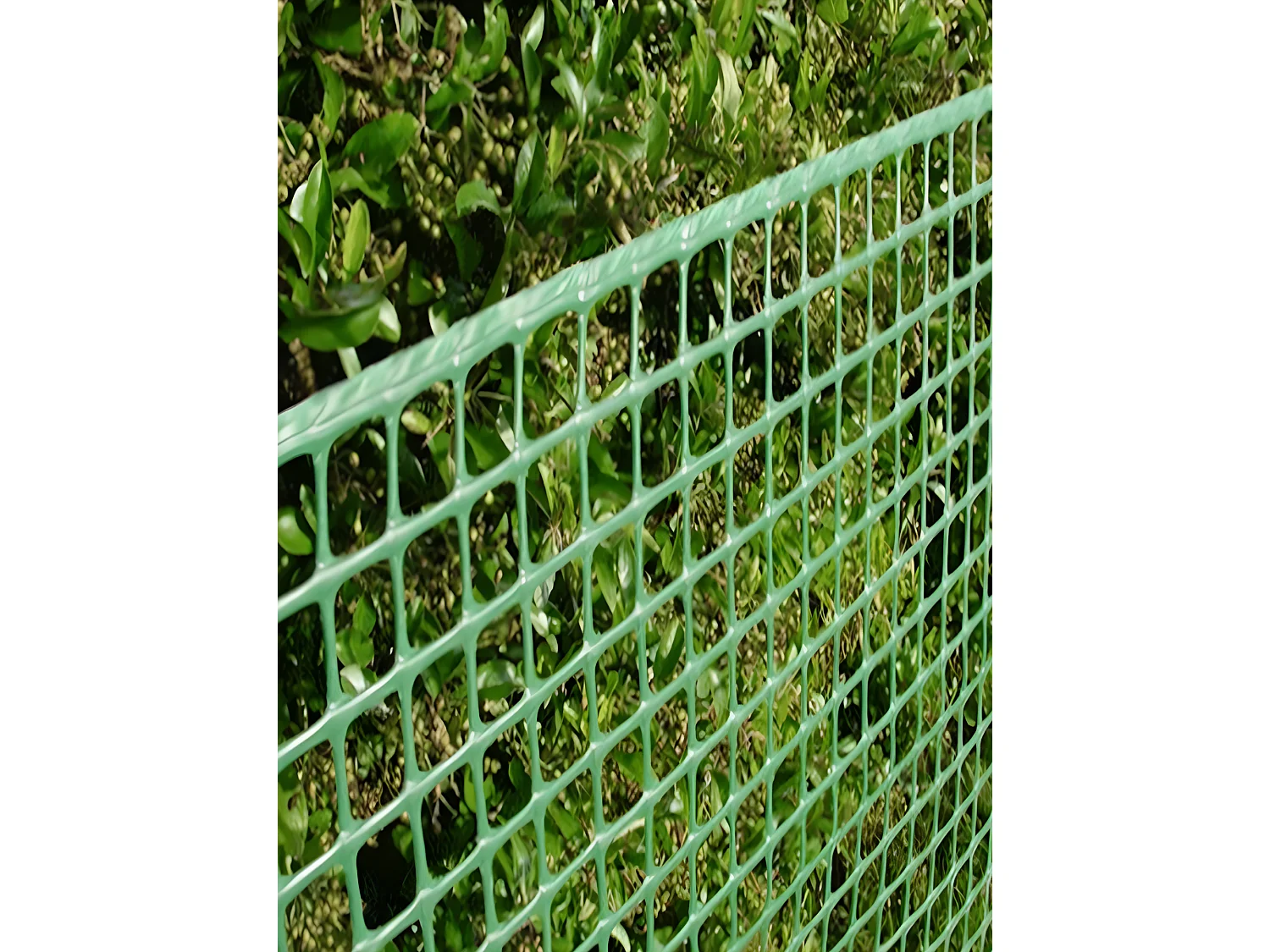 Maille Plastique| 1X30M| Vert| Composition 100% PVC| Cloture PVC| Rete Cloture| Reticule 10X10MM