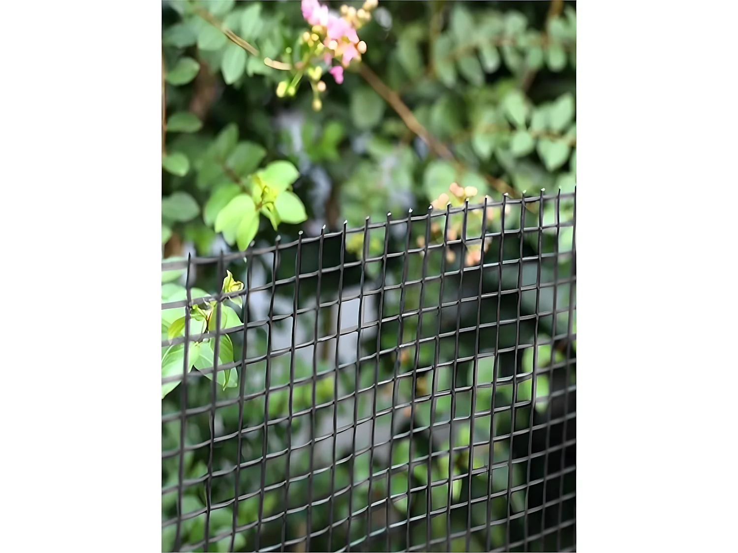 Maille Plastique| 1X30M| Gris| Composition 100% PVC| Cloture PVC| Rete Cloture| Reticule 5X5MM