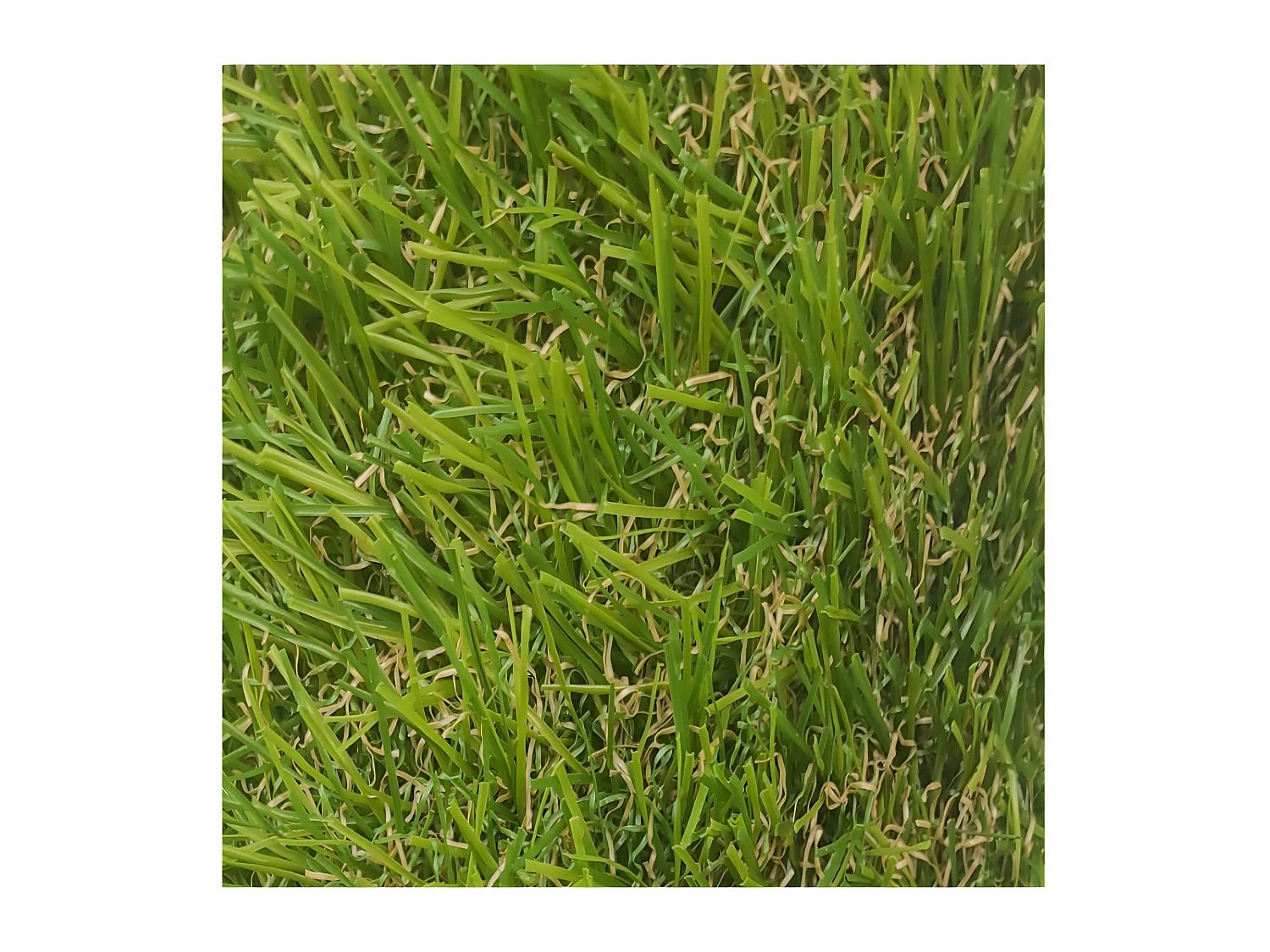 Cesped Artificial| 2X4M (Ancho X Largo)| Grosor 30MM