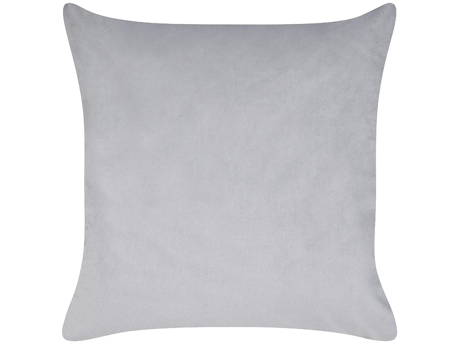 Lot de 2 coussins décoratifs OPHRYS Velours 45 x 45 cm Gris