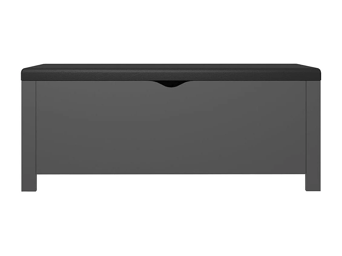 Caixa arrumação c/ almofadão contraplacado 105x40x45 cm cinza