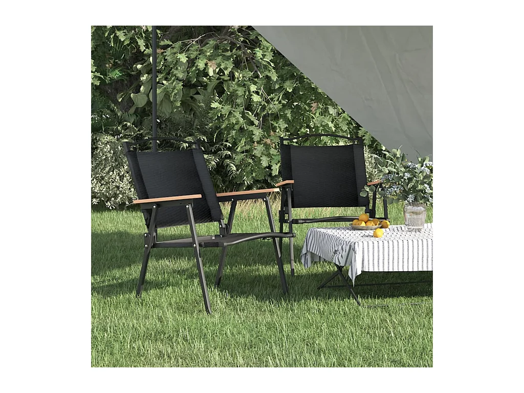 Chaises de camping lot de 2 Noir 54x55x78 cm Tissu Oxford
