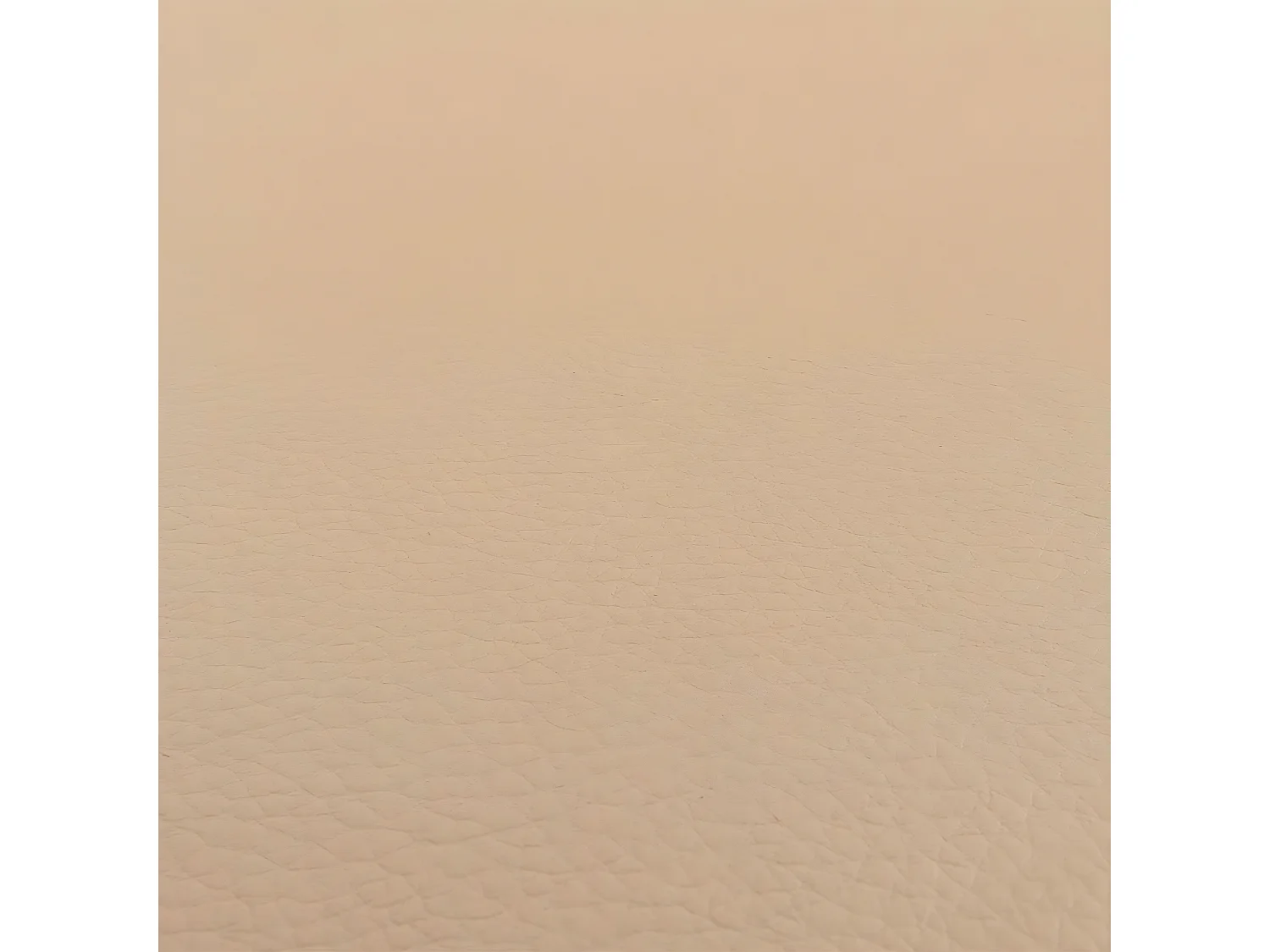 Eetkamerstoel M37 (set van 6),  Leer, crème, donkere poten