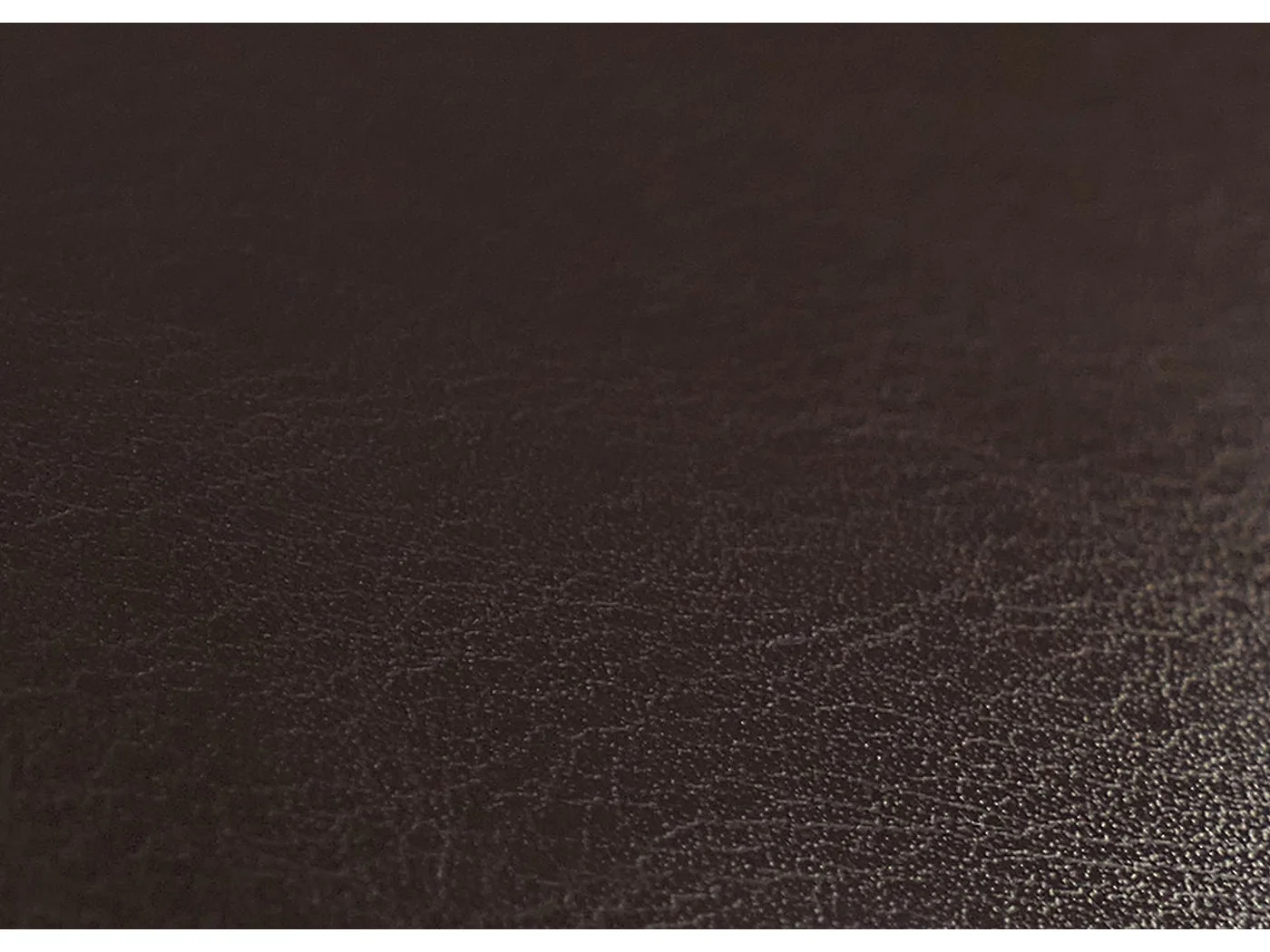 Chaise de salle à manger Littau,  marron, pieds foncés