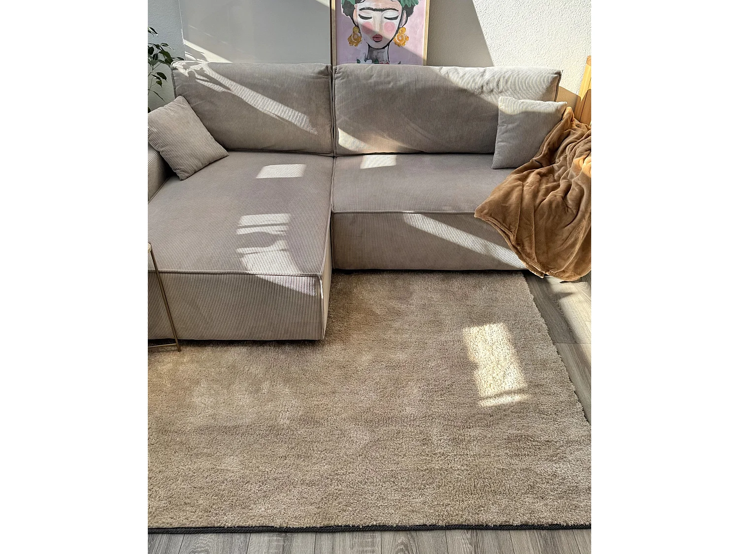 Tapis épais 200 x 200 cm beige clair DEMRE